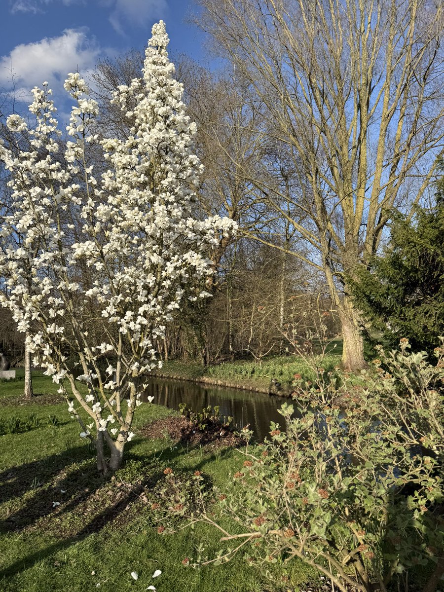 Karl Drabbe tweet media