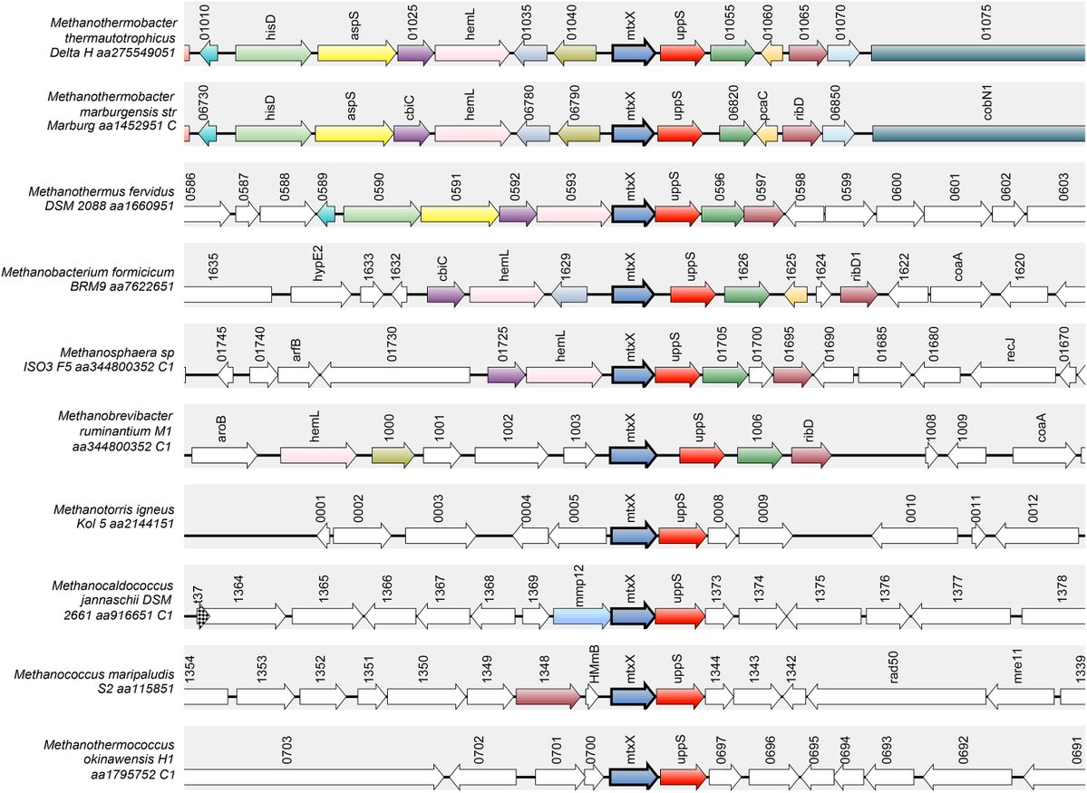 Evgenii Protasov tweet media
