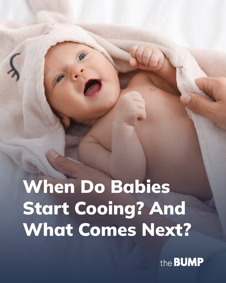 The Bump tweet media