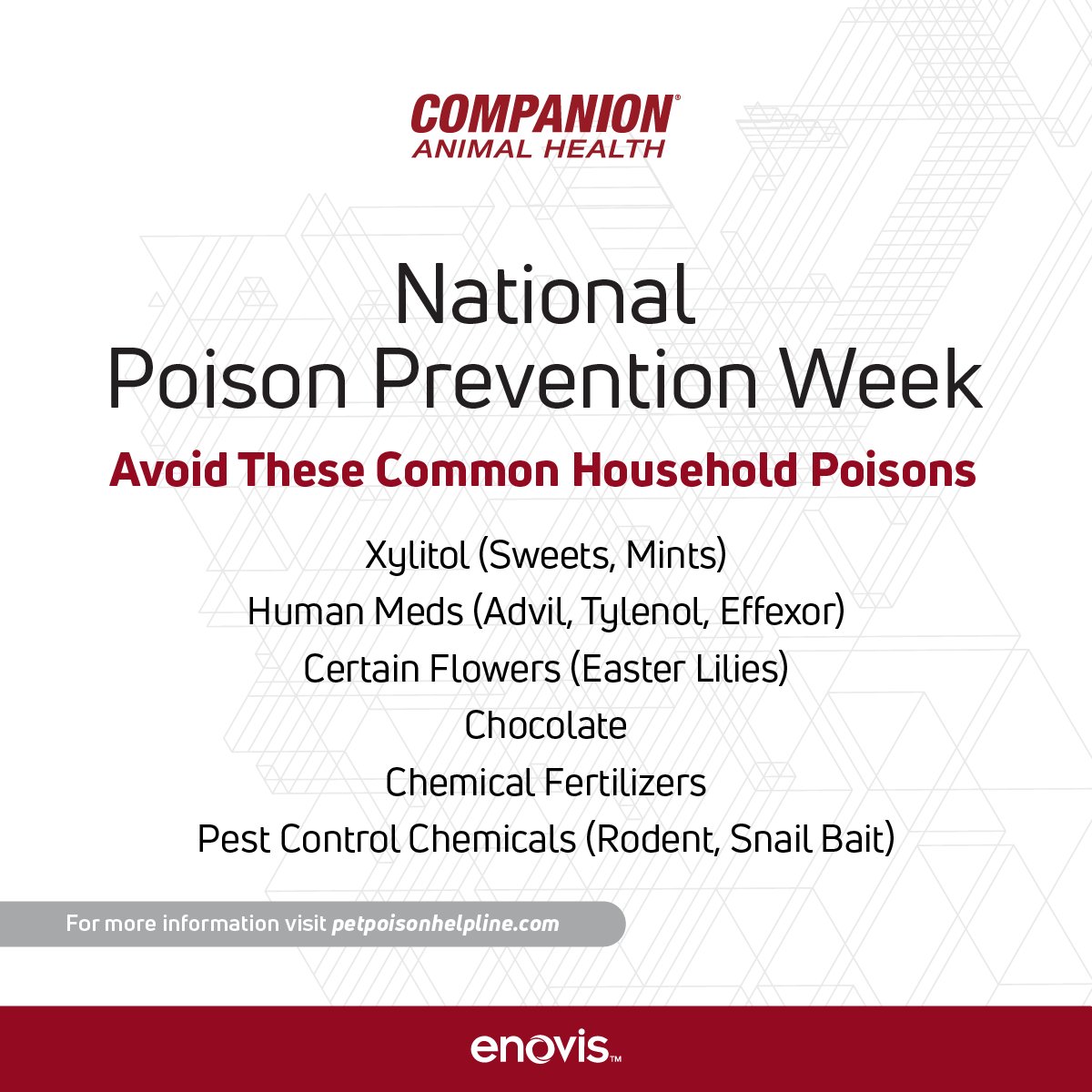 Companion Animal Health tweet media