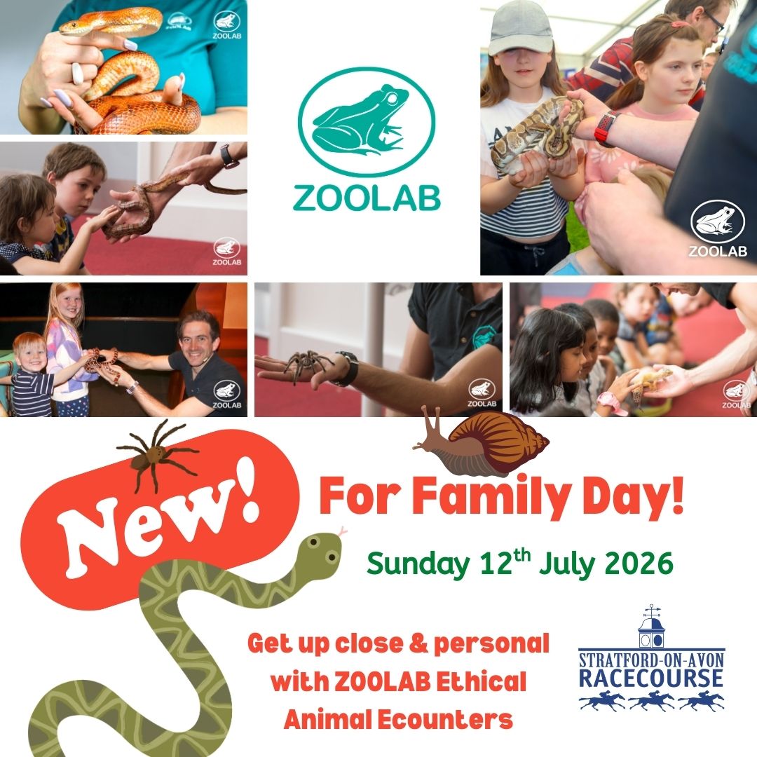 Stratford Racecourse tweet media