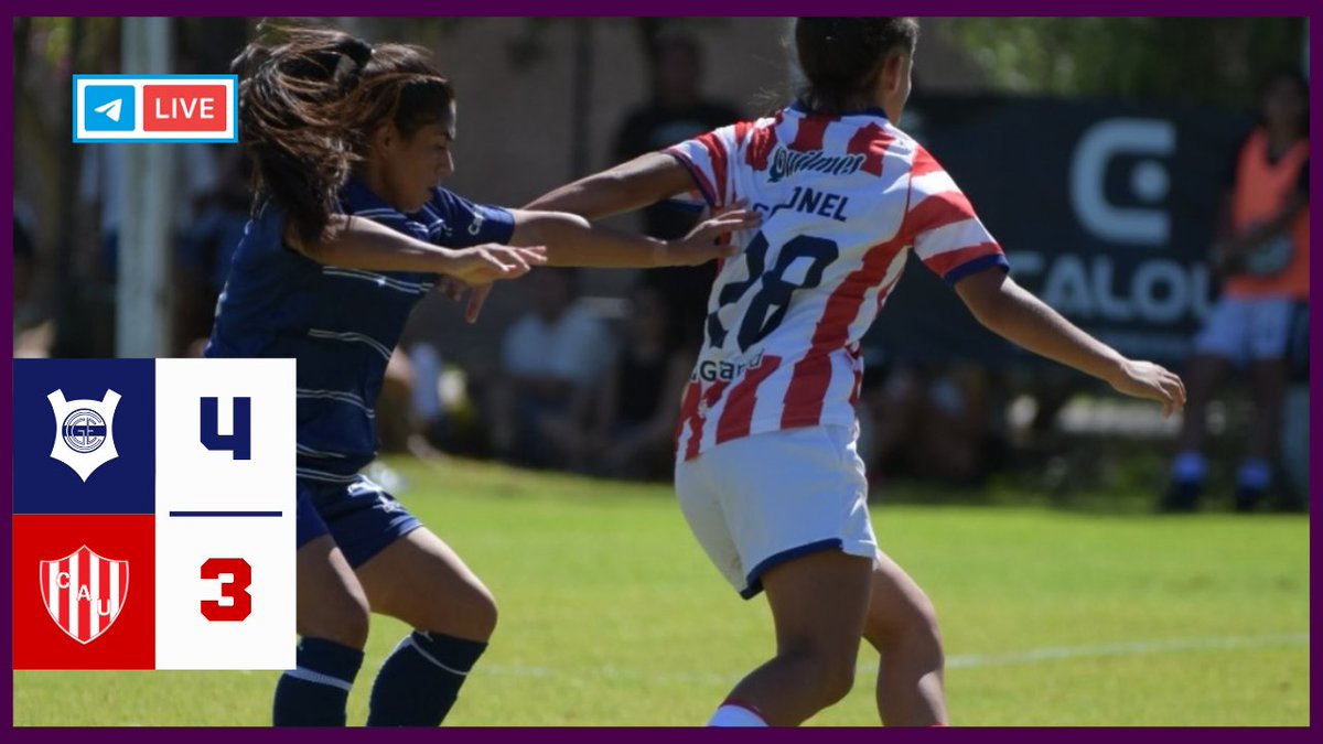 NotiTates tweet media