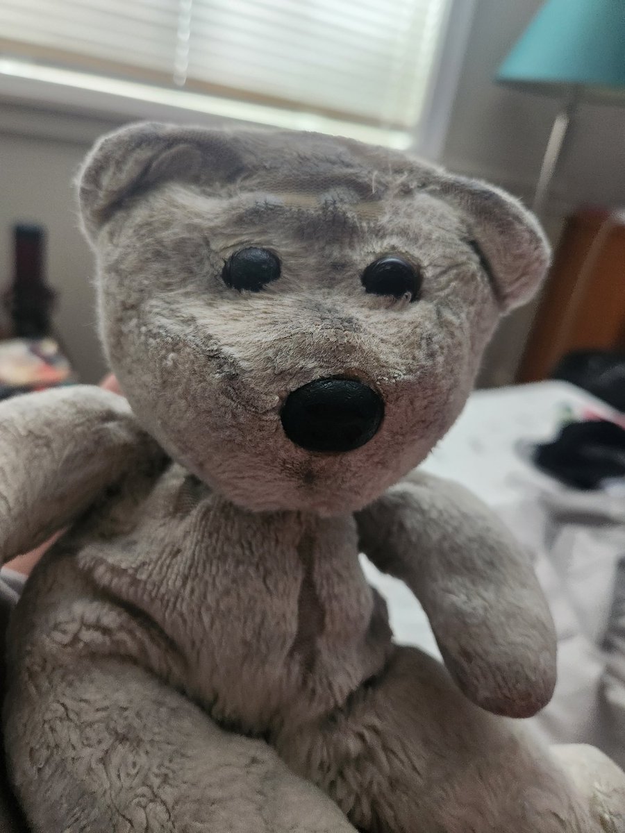 Teddy Bear 🇨🇦 tweet media