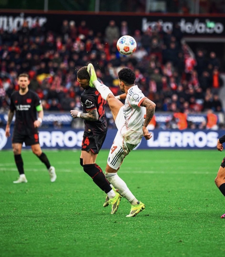 Muckelinho tweet media