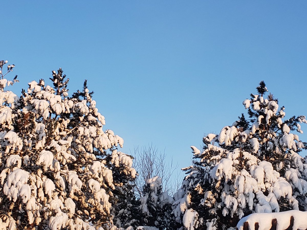 MT Thoughts tweet media