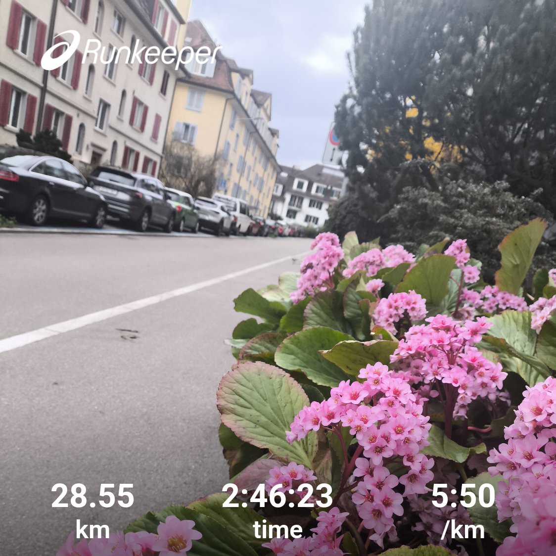 zureich37's tweet image. Sunday long run 🏃‍➡️✅ .
... feeling tired now. 
a well deserved rest day tomorrow and then another big week. 😀
#running #runchat #marathontraining #4weeks2go #KeepRunning