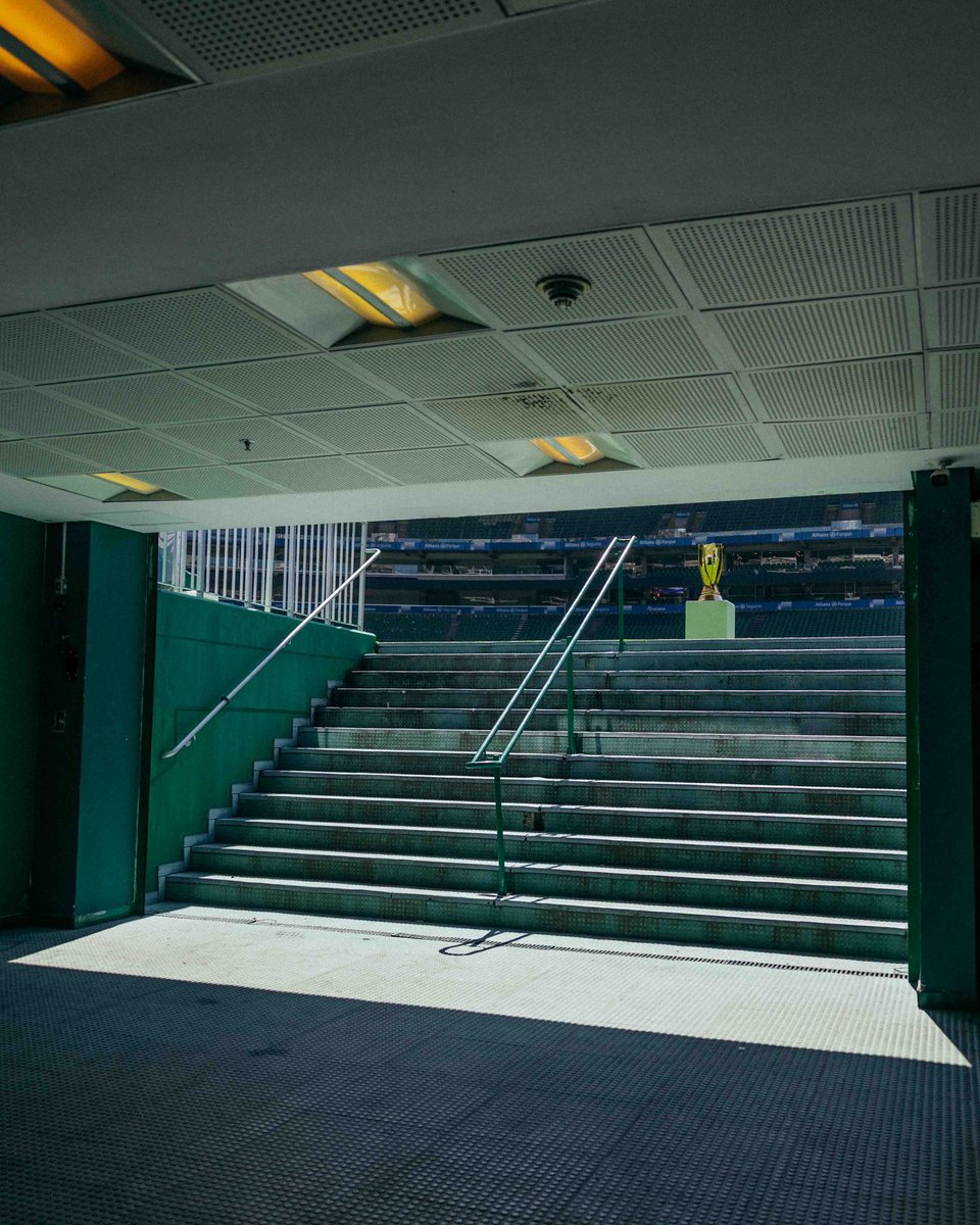 Gabriel Amorim tweet media