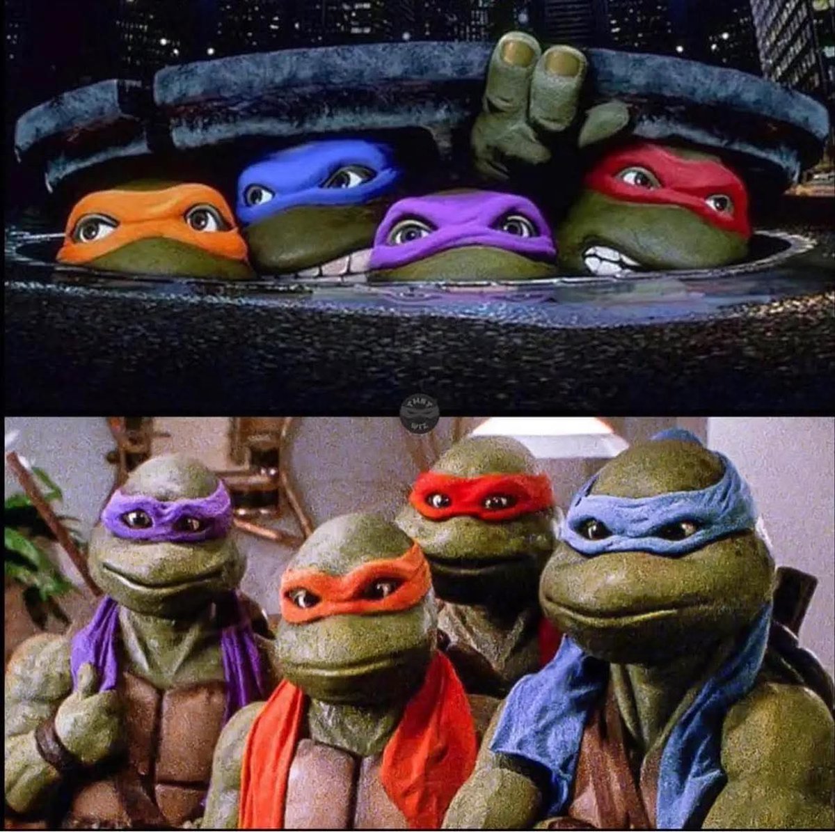 Turtle_Lair tweet media