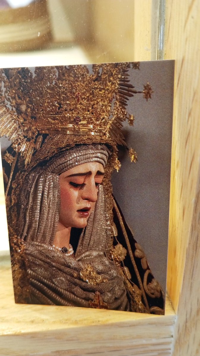 A. Aranda Colubi tweet media