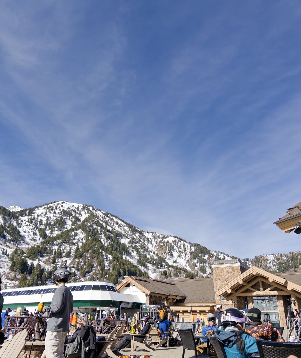 jo johnson tweet media