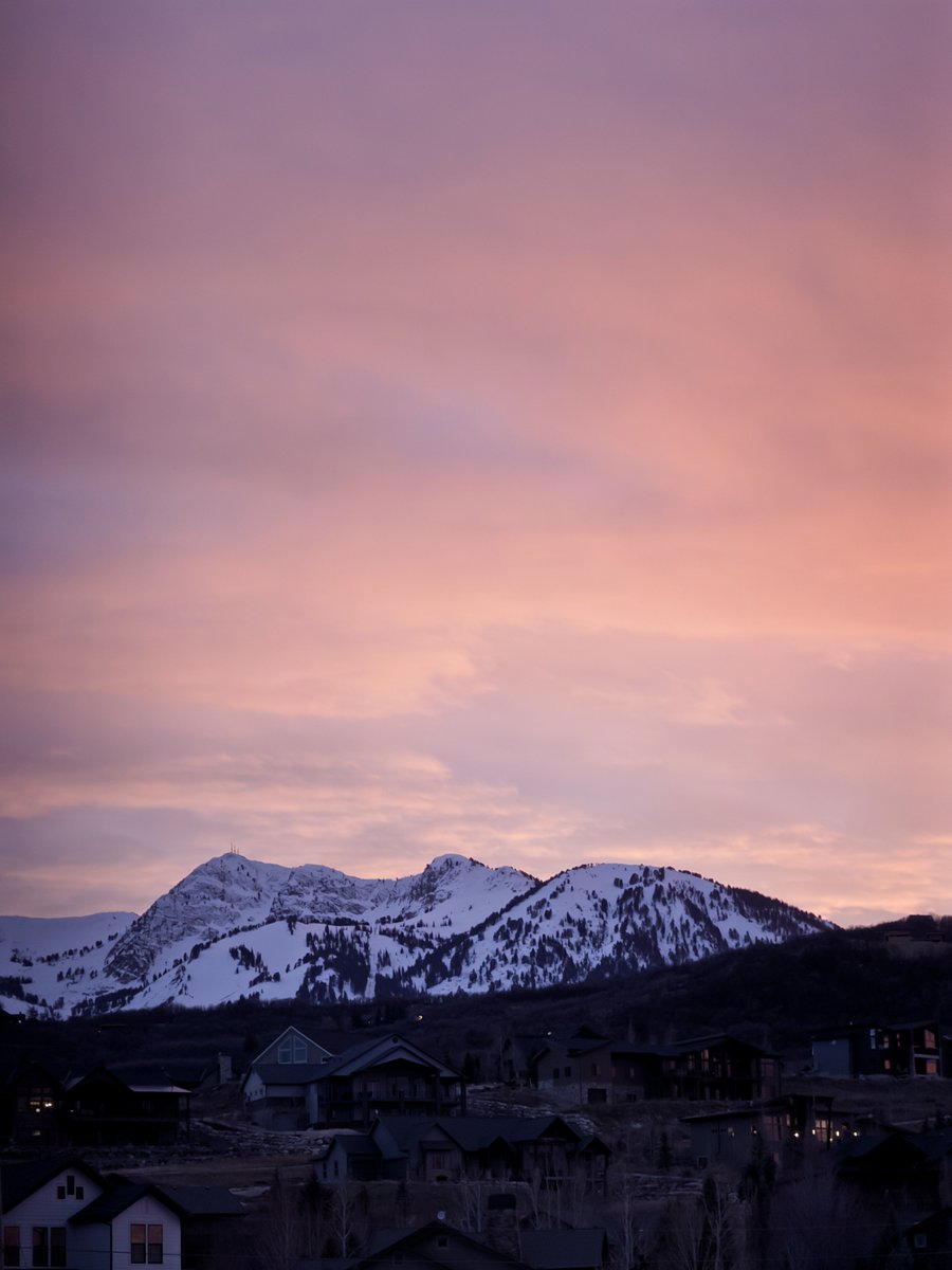 jo johnson tweet media