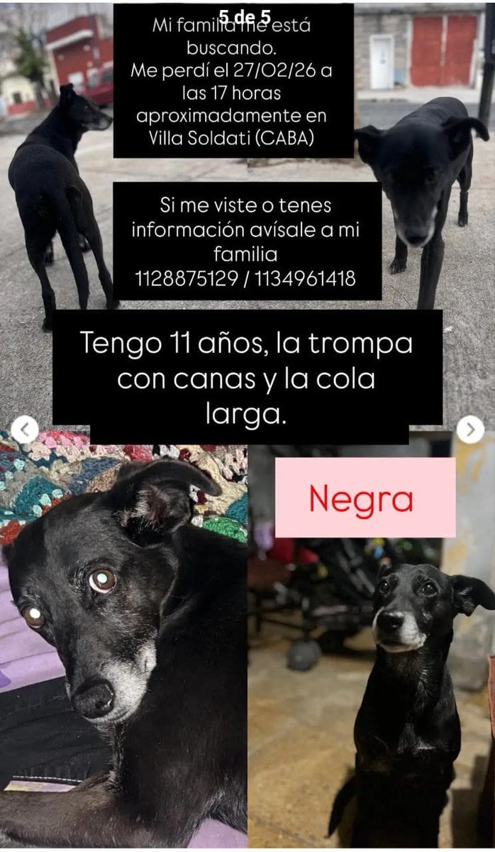 Villa Soldati,CABA,difundan x favor. Grax
<a href="/AbrilGo93588411/">Abril Gomez</a> 
<a href="/AlmasDeLaCalle/">Almas De La Calle</a> 
<a href="/polaco_adrian/">Adrián Kolszyc</a> 
<a href="/Anvitw/">Anvi</a> 
<a href="/Tickie18/">Aurelia Lalande</a> 
<a href="/Bichuok1/">Bichu ok🐶🐱🌷🍀☀️(ex Sandri ok)</a> 
<a href="/caticoron/">Catherine</a> 
<a href="/patri_carolyn/">Patri Carolyn 🌷❤️</a> 
<a href="/SaraCapel1/">Sara Capel</a> 
<a href="/CansadoDeTermos/">🇦🇷 Seba76 🇦🇷</a> 
<a href="/elialemajo/">elialemajo</a> 
<a href="/sil_escorpio/">Sil 🇦🇷⭐⭐⭐</a> 
<a href="/epieri69/">Liz 💖</a> 
<a href="/luciafolini/">Ana Lucia Folini</a> 
<a href="/MarianoOses/">Mariano Osés Martelli</a> 
<a href="/ThelmaRadio/">Thelma</a> 
<a href="/Tabyta201/">@Tabyta52/20🇦🇷🇪🇦🇺🇦🇮🇱💙💙💙</a>