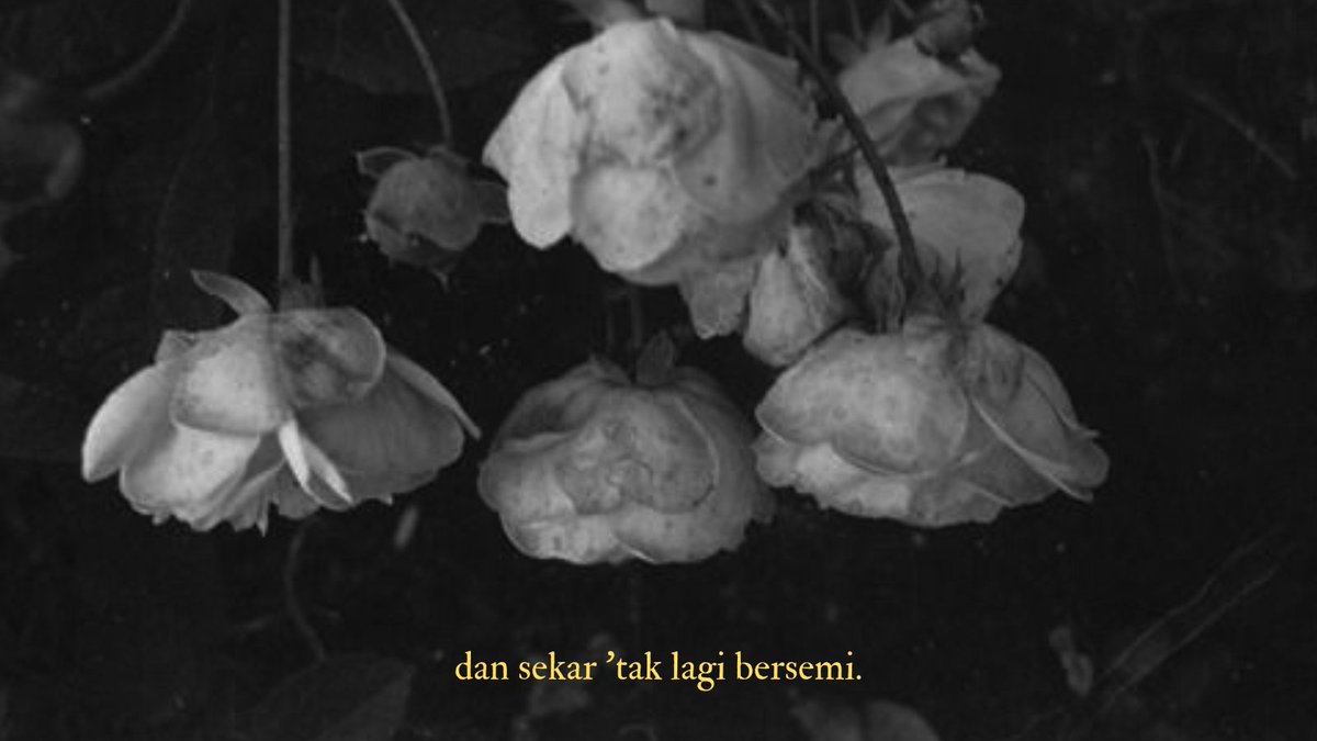 ADHINIA KESUMA. tweet media