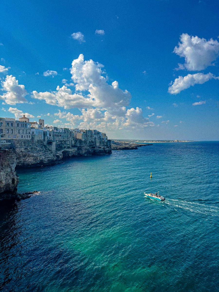 rishi 🌔 tweet media