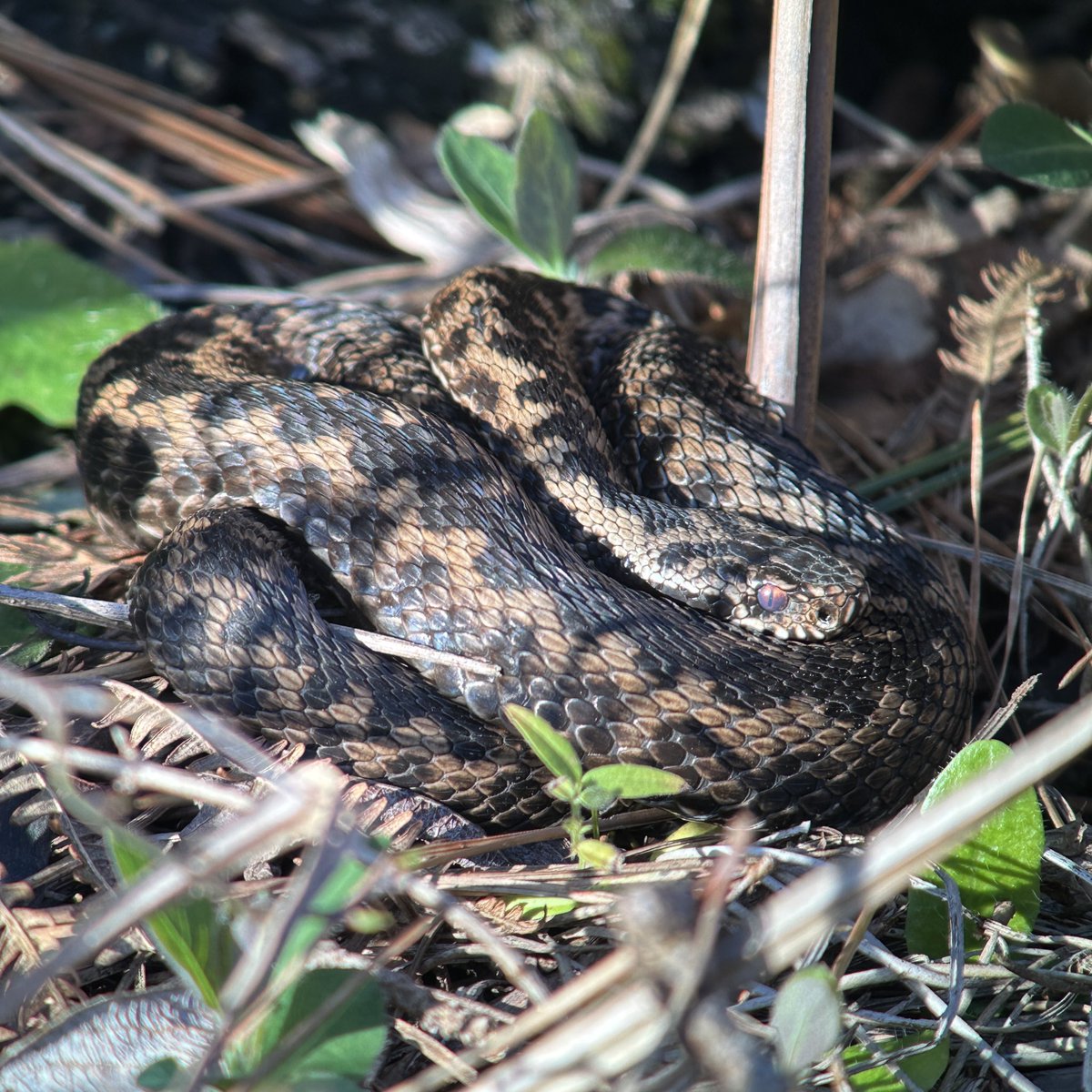 Tim Jukes tweet media