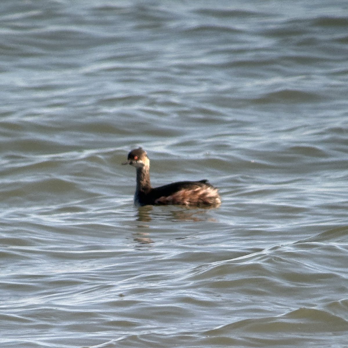 Tim Jukes tweet media