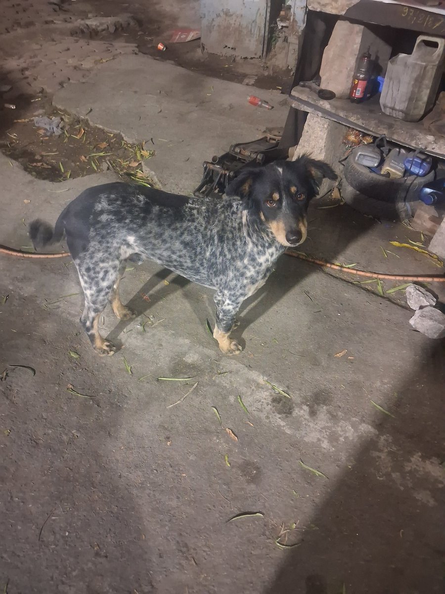 Pallavi U Dar tweet media