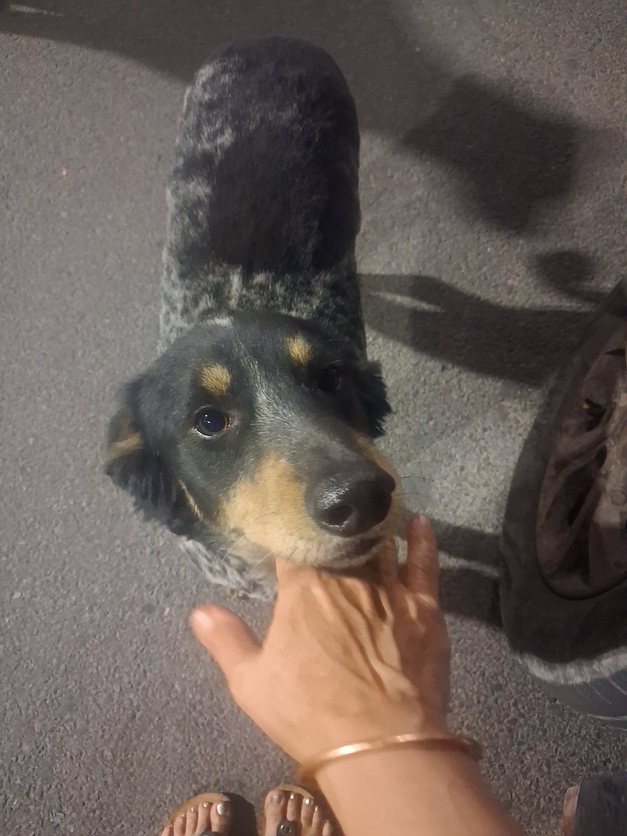 Pallavi U Dar tweet media