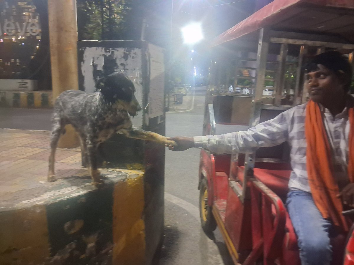 Pallavi U Dar tweet media