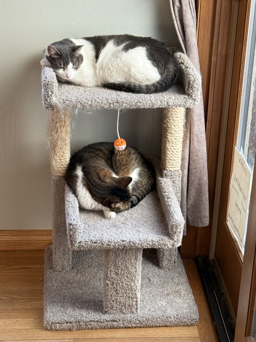 Kevin J Anderson tweet media