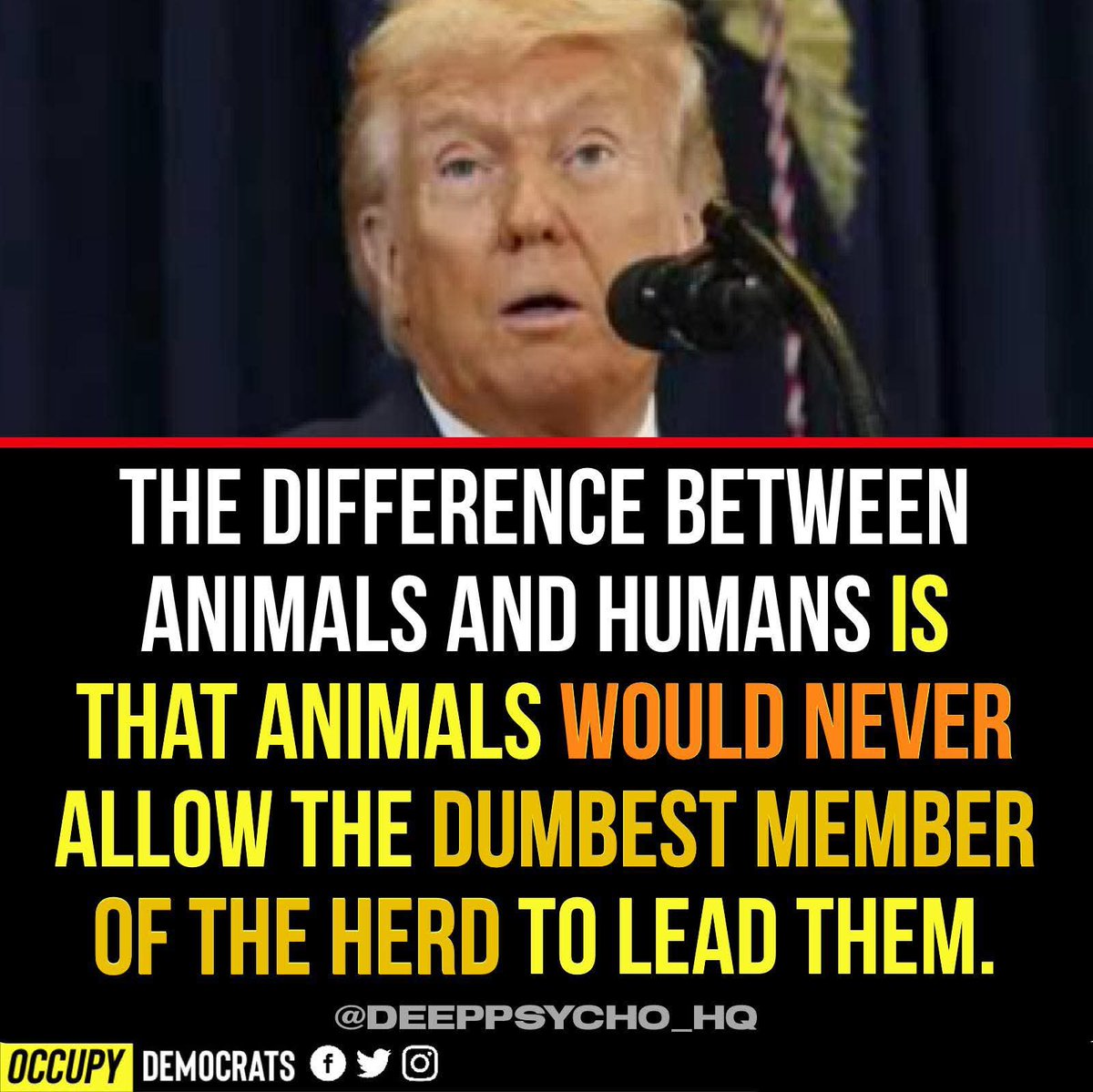 DD Alphonse tweet media