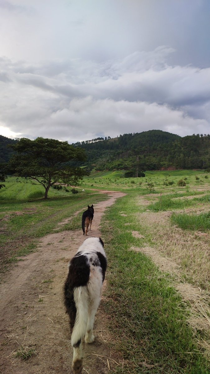 Carolina Afan de R. tweet media