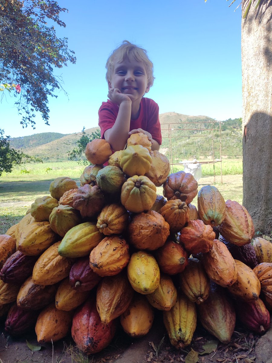 Carolina Afan de R. tweet media