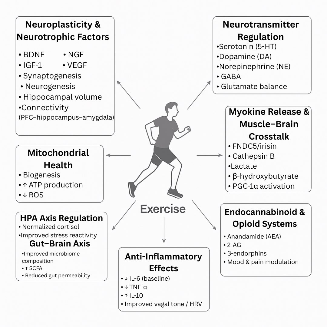 Christoph Burch tweet media