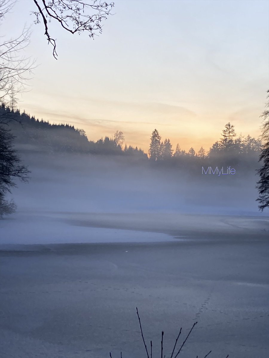 ManuelaMravlak's tweet photo. Fog is all I need…🤍
#NaturePhotography #Austria 🇦🇹
@StormHour @ThePhotoHour #FogIsMagic 🌫️
#SundayMagic #SundayFeeling 🧡✨ https://t.co/8k1rG41kxW