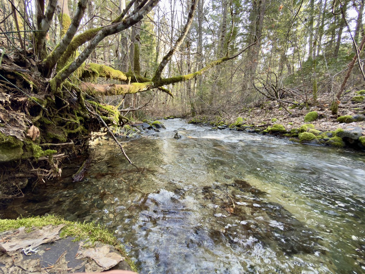 DonEDavie's tweet photo. Some pics of East Weaver in Weaverville, CA.
#Weaverville. #Photos #Nature #NatureBeautiful ##ihatehashtags https://t.co/gEEdBC68AW