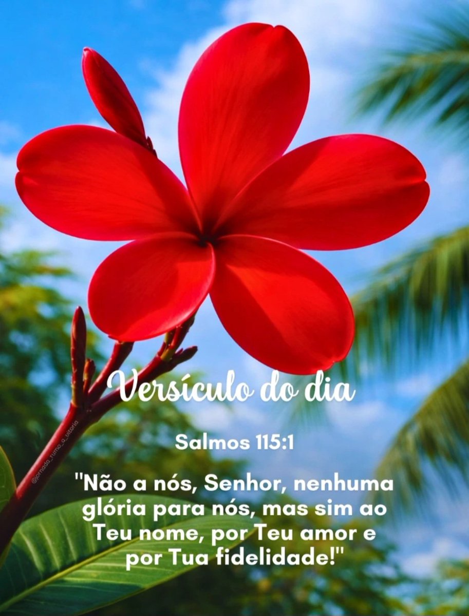 ● Iza ● ﮩ٨ـﮩﮩ٨ـ♡ﮩ٨ـﮩﮩ٨ـ tweet media