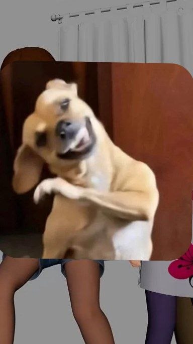 onlyrabbitnoir tweet media