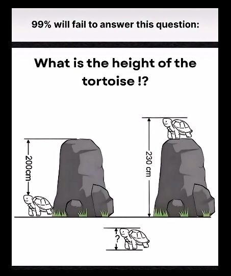 Code Geek tweet media