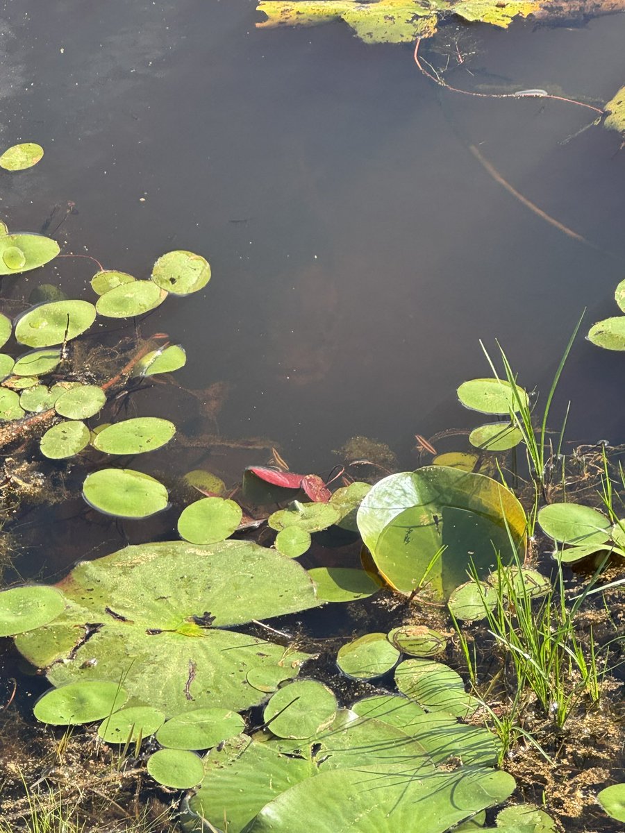 🥁 Rob 🎸 tweet media