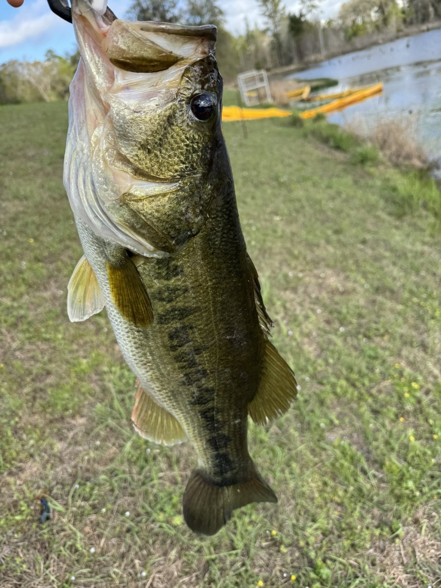 🥁 Rob 🎸 tweet media