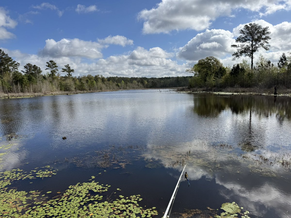 🥁 Rob 🎸 tweet media