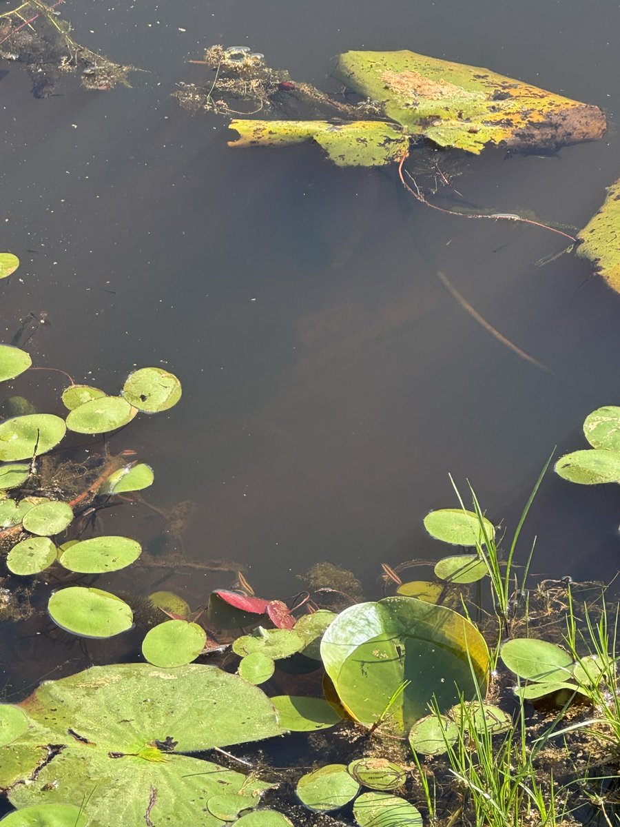 🥁 Rob 🎸 tweet media