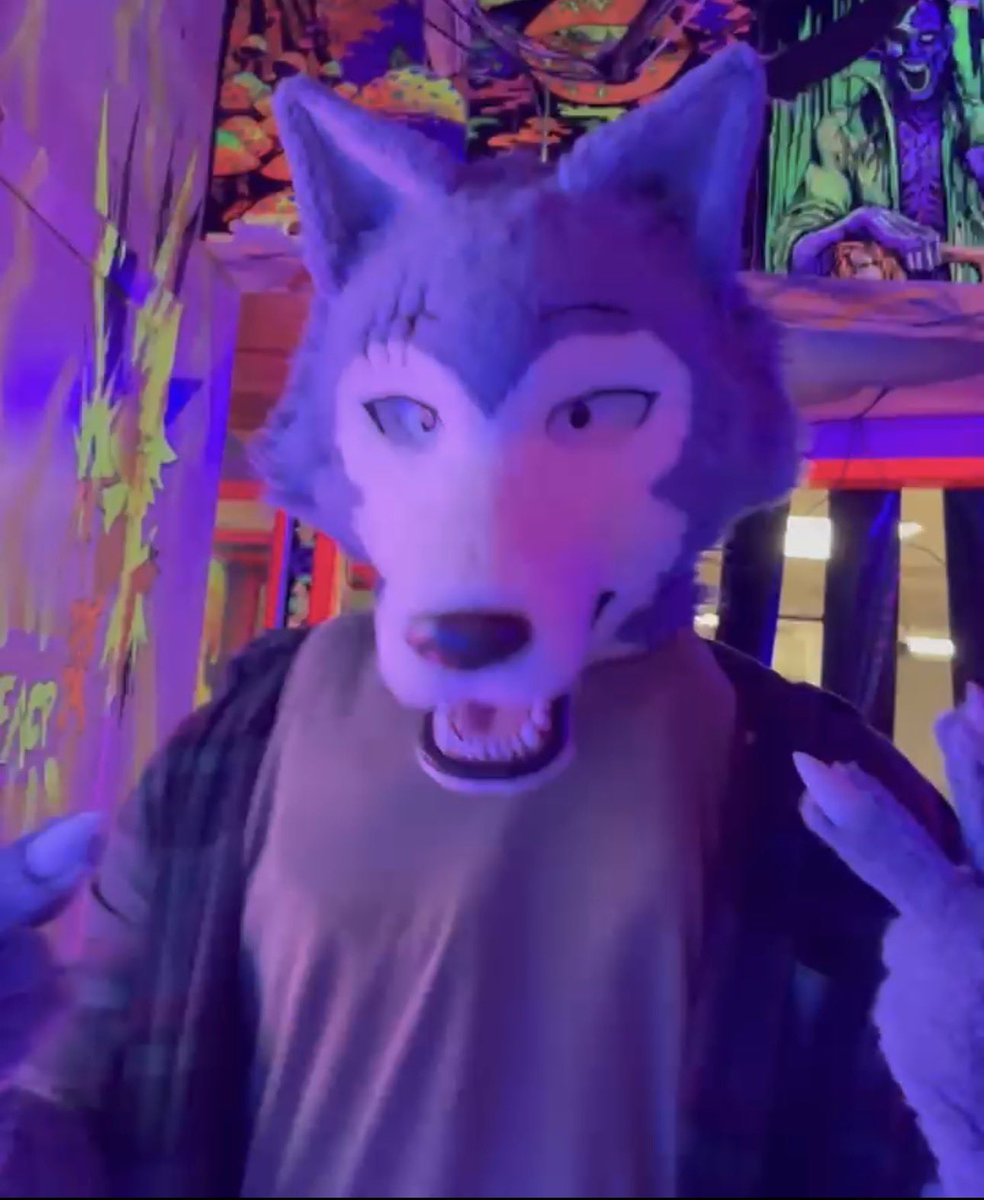 Moose (Differmitt) 🔜 TFF tweet media