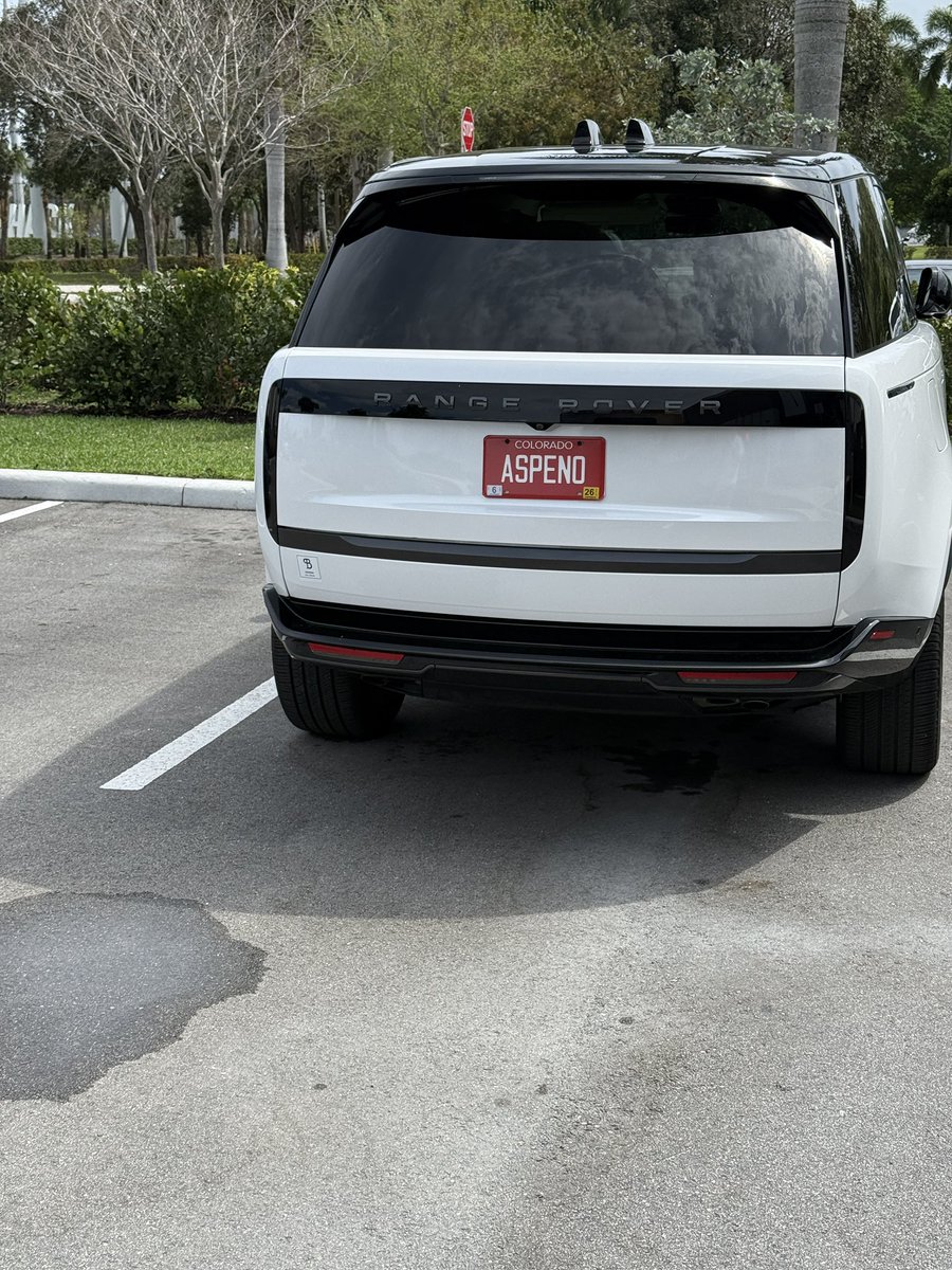 Maxwell Finn tweet media