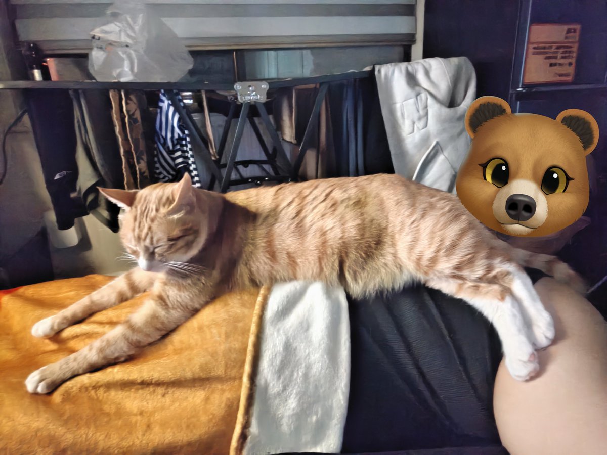AkimovDimitri's tweet photo. @ymeatuna Help me remove my cat away plz. https://t.co/O9lAbicWwT