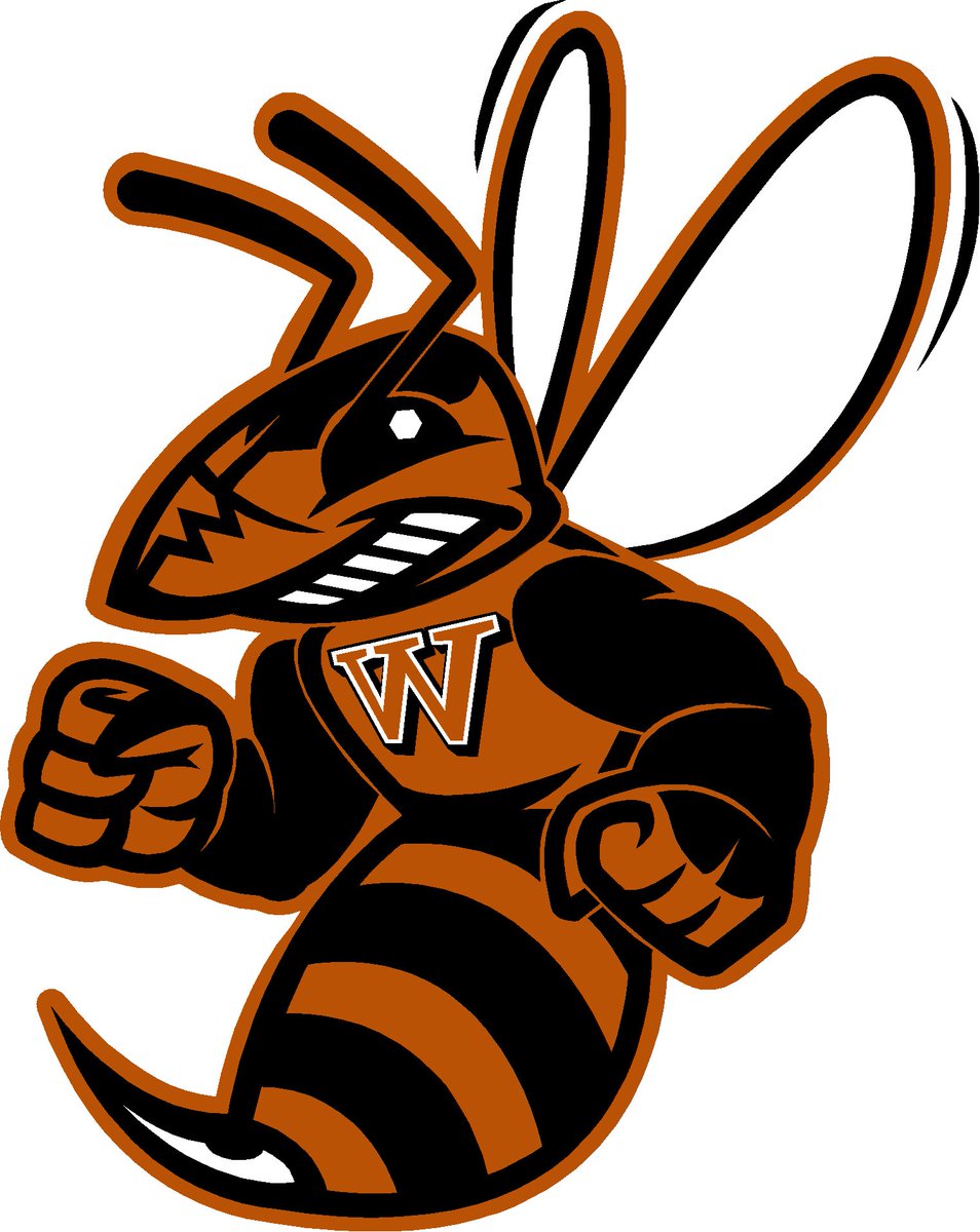 Jonas Guenthardt tweet media