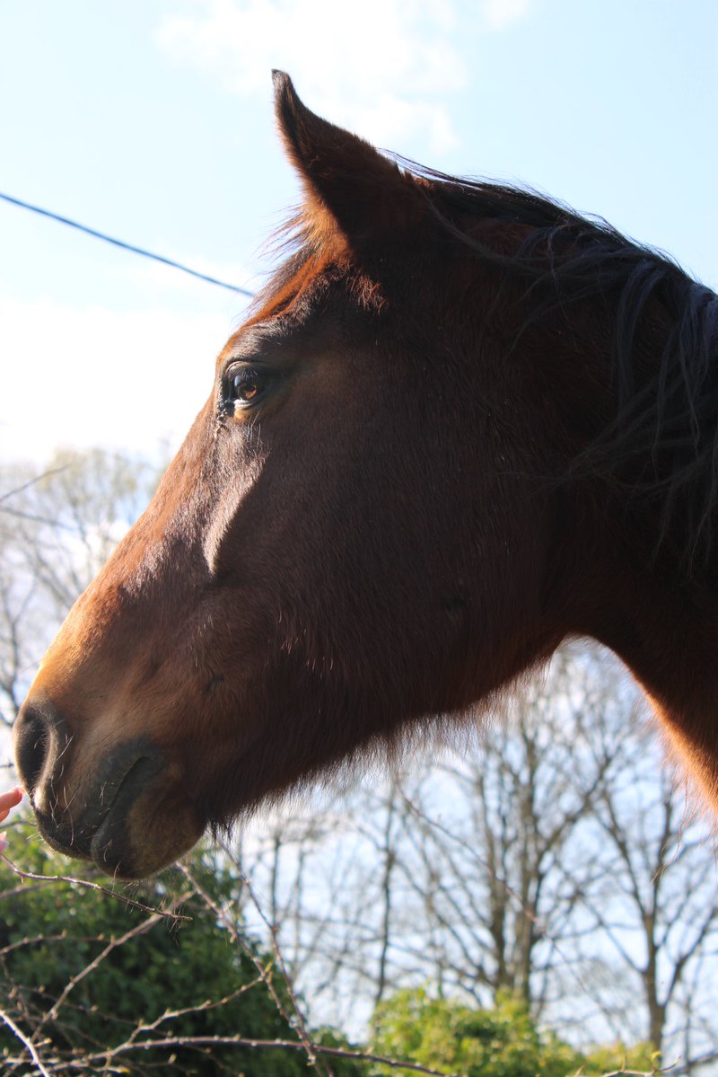 la chimiste౨ৎ tweet media