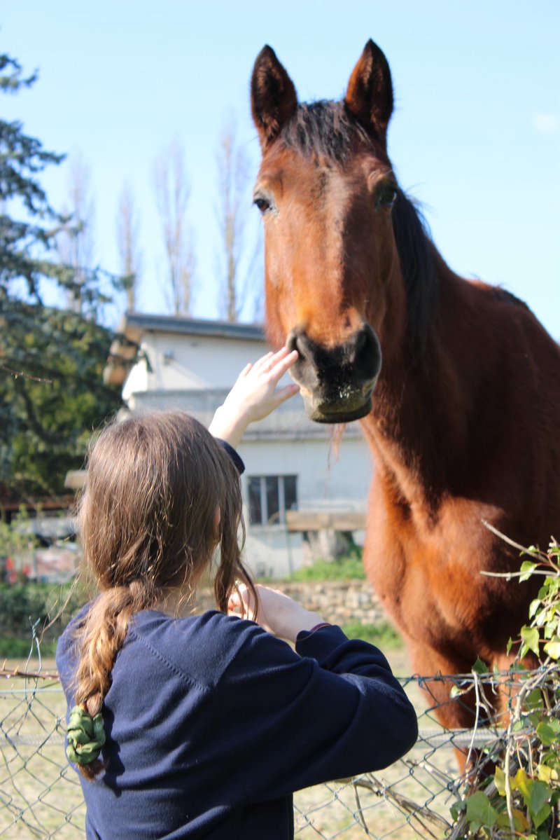 la chimiste౨ৎ tweet media