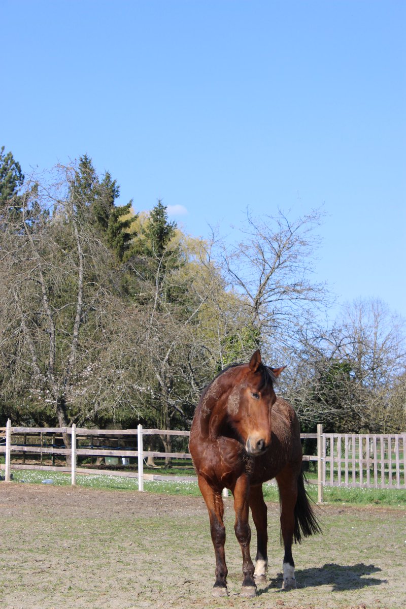 la chimiste౨ৎ tweet media