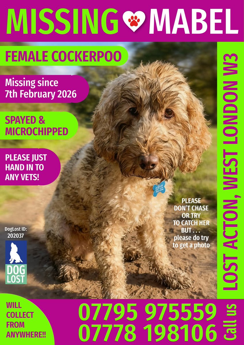 Missing Pets GB tweet media