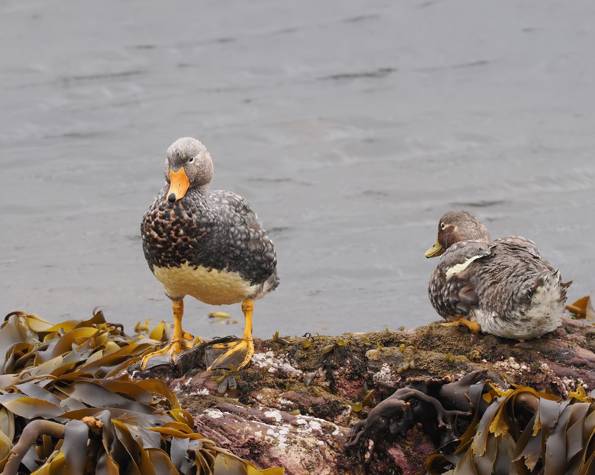 Andrew Whitehouse tweet media