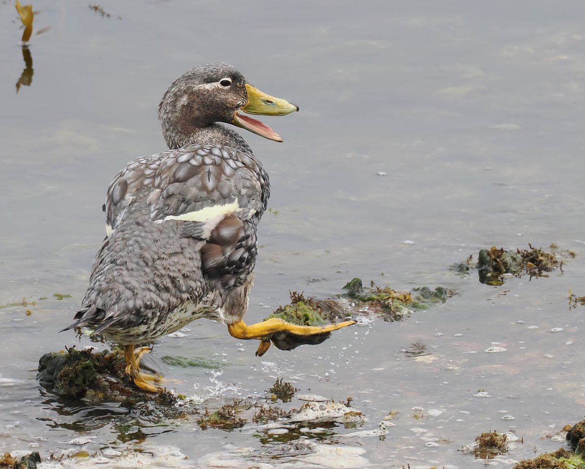 Andrew Whitehouse tweet media