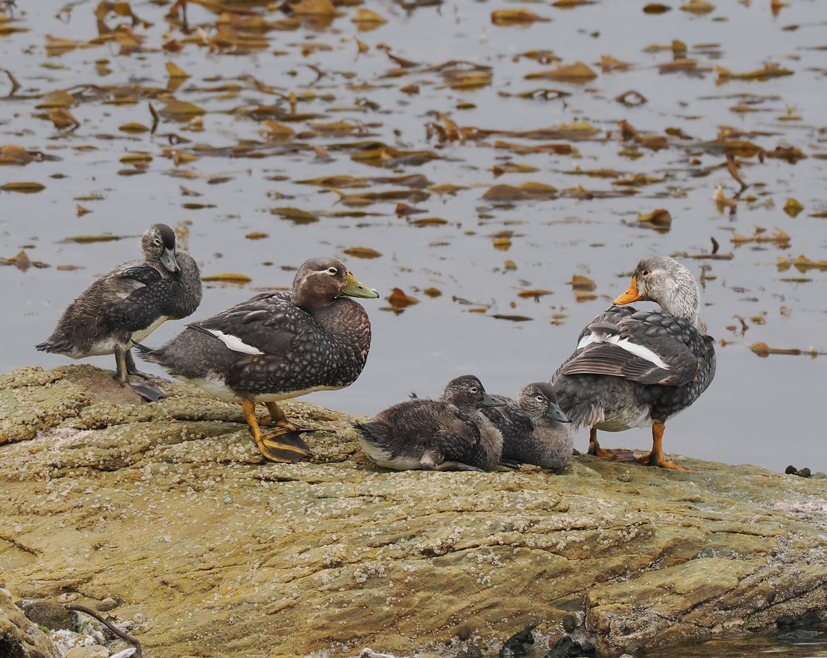 Andrew Whitehouse tweet media