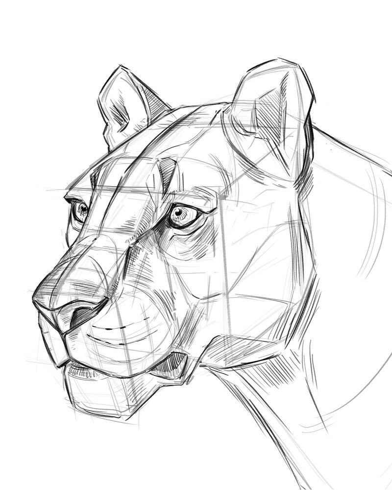 Design Cube tweet media