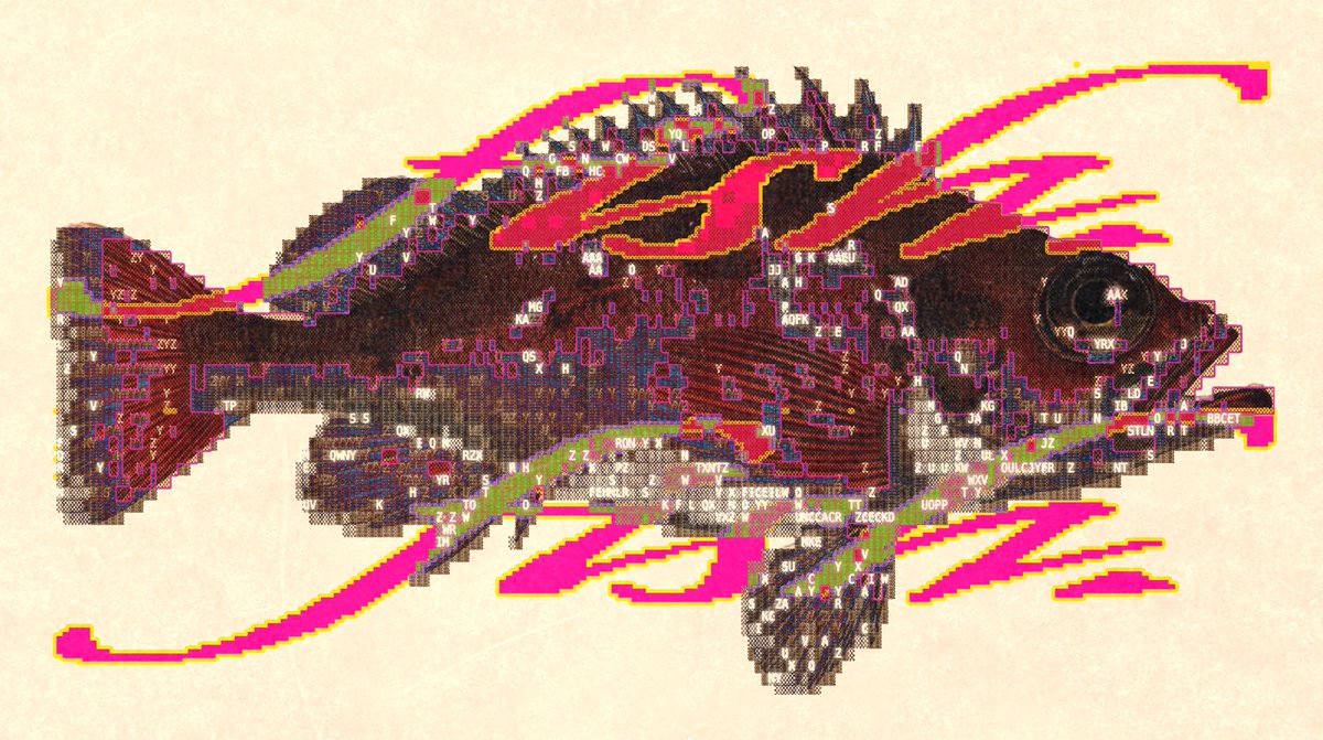 enigmatriz tweet media